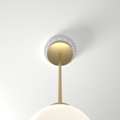 M102 ceiling medallion plug installed with pendant light