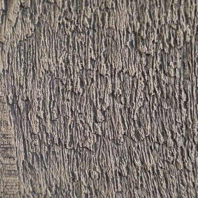 STN-001 stain