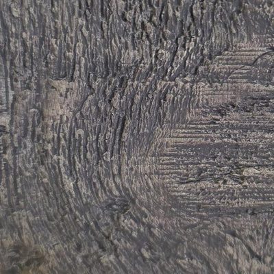 STN-004 stain
