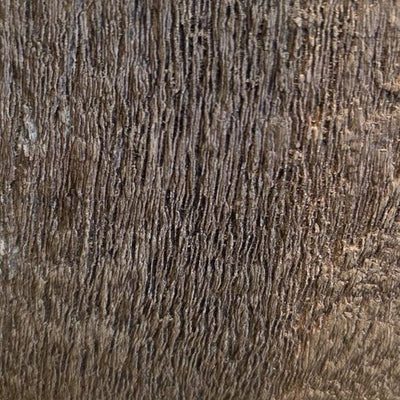 STN-005 stain
