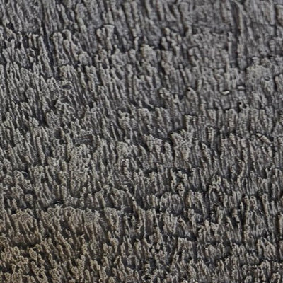 STN-006 stain